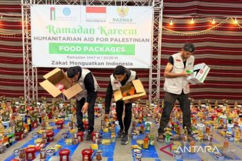 Baznas RI salurkan 33.917 paket pangan dari warga RI untuk Palestina