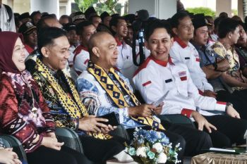 Pemkab Tulangbawang lebarkan Jalan Ethanol