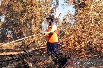 BPBD Aceh Barat kerahkan personel padamkan karhutla di dua desa