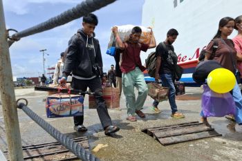 Pelni Kupang memprediksi peningkatan pemudik hingga 5 persen