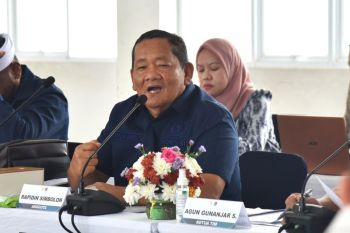 Legislator dorong pendetailan aturan kerja sosial cegah beda tafsir
