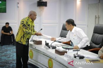 Pemprov Papua Barat siapkan pengembangan kakao 68.734 ha hingga 2027