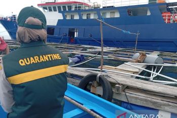BKHIT Maluku fasilitasi ekspor 18 ton komoditas perikanan ke Jepang