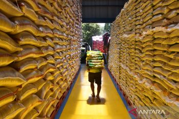 Mentan: Stok beras capai empat juta ton, aman hingga akhir tahun