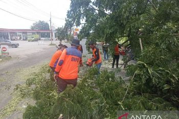 BPBD OKU siagakan posko di jalur rawan longsor