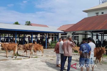 Perdagangan ternak di pasar hewan Aceh Besar meningkat jelang meugang Lebaran