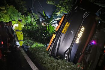 Polisi evakuasi bus penumpang masuk jurang di Lahat