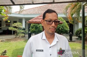 Dinkes Bantul siagakan petugas layanan maternal neotanal pada libur Lebaran
