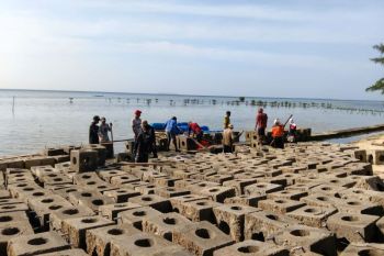 Pemkab tenggelamkan 600 substrat karang di Pulau Pari