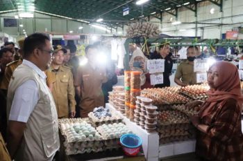 Bupati Kukar pastikan pangan aman usai jelajah pasar-agen