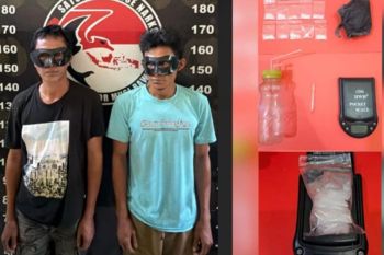 Polisi tangkap lima pelaku narkoba di perkebunan sawit Musi Rawas