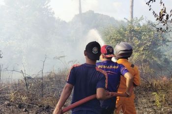 Pemkab Natuna berhasil padamkan kebakaran 5 hektare lahan