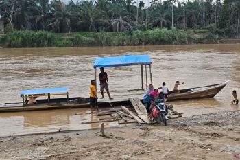 Penyintas bencana Aceh Tamiang bersihkan kebun setelah Idul Fitri