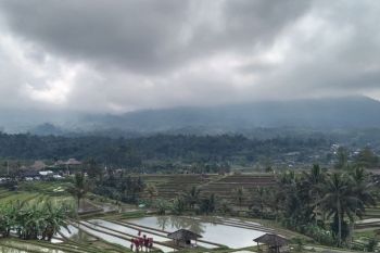 BBMKG: Pawai ogoh-ogoh pada H-1 Nyepi diprakirakan berawan-hujan