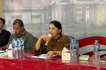 Pemkab Landak mediasi PT FBR dengan warga 3 desa di Mandor