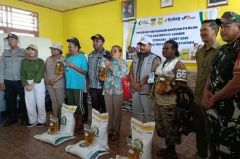Bulog Papua luncurkan program bantuan pangan beras dan minyak goreng