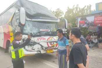 Dua Bus bertabrakan di jalan lintas Jambi - Bungo, tak ada korban jiwa