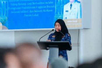 Pemprov Lampung alokasi Rp143,7 miliar untuk bangun infrastruktur jalan di Tulang Bawang