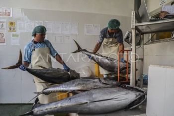 Indonesia's fishery exports reach US$983 million as of March 2026