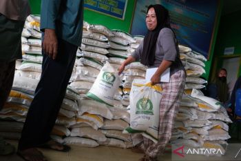 Indef nilai stok dan distribusi kunci stabilitas harga pangan