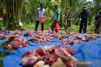 Mahantam: tradisi yang tetap dijaga di tengah pemulihan bencana