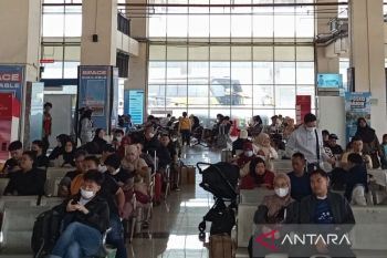 Pengelola: Rerata 490 bus melintas dan berangkat dari Pulo Gebang/hari