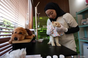 Jasa penitipan hewan peliharaan di Kediri