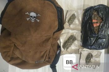 Polda Metro Jaya tangkap dua pemuda edarkan ganja di Jakpus