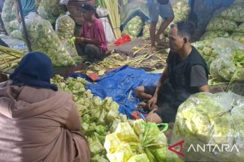 Jelang Lebaran, pedagang kulit ketupat di Palmerah banjir pesanan