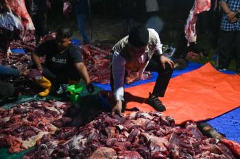 Sebanyak 905 KK di Aceh Besar terima bantuan daging "meugang" Presiden