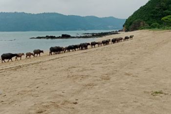 Bupati Lombok Tengah ingatkan pengawasan wisata jelang libur Lebaran