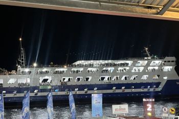 Gabriel Heinze, legenda MU asal Argentina jadi asisten pelatih Arteta