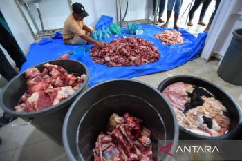 Pemprov Sumut kirimkan sapi untuk warga huntara di Tapsel