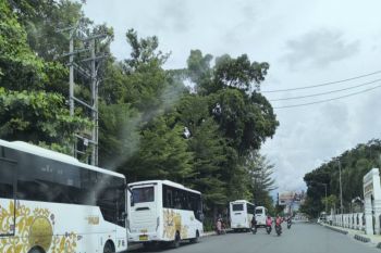 Pemkot-Palu beri layanan gratis pengguna Bus Trans Palu setelah lebaran