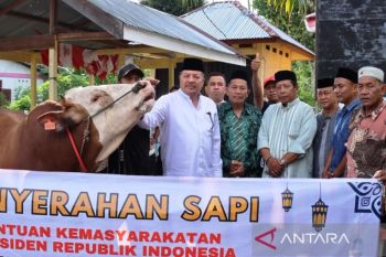 Pemkab Nagan Raya salurkan 68 ternak bantuan "meugang" dari presiden