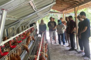 BKK Blora menyalurkan CSR untuk peternak milenial