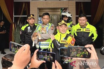 Kucing "oyen" berseragam polisi mini jadi daya tarik pengendara di Jalur Puncak