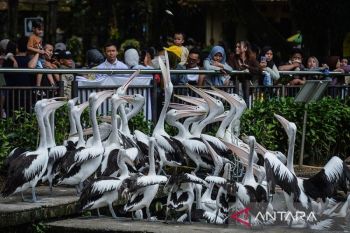 Pengunjung padati Taman Margasatwa Ragunan sejak pagi hari