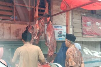 Transaksi penjualan ternak di Agam capai Rp7,48 miliar jelang Lebaran