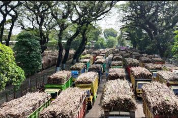 PG Ngadirejo Kediri target giling tebu 10,6 juta kuintal di 2026