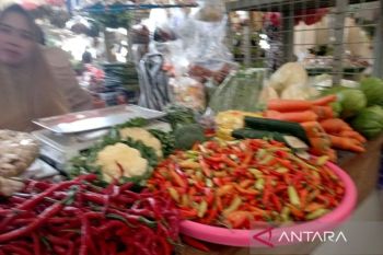 Indef: Kenaikan harga cabai saat lebaran ikuti pola musiman