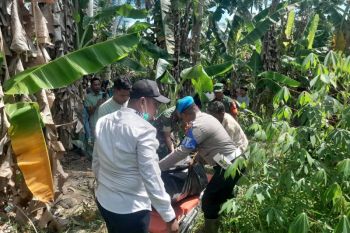 Mayat korban banjir kembali ditemukan di kebun warga di Aceh Utara
