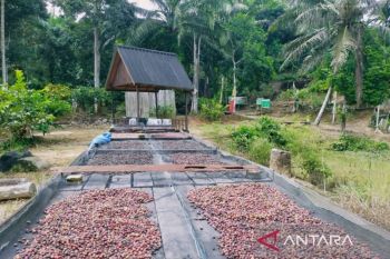 Kemenhut: Perhutanan sosial pilar strategis wujudkan keadilan ekonomi