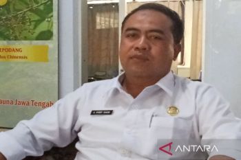 284 posisi perangkat desa di Batang masih kosong