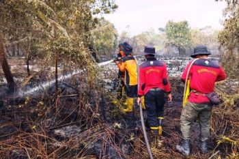 BMKG ajak kewaspadaan kebakaran seiring tingginya titik panas