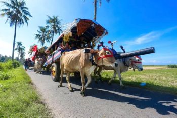 Festival Pegon jadi daya tarik wisata pantai di masa Lebaran