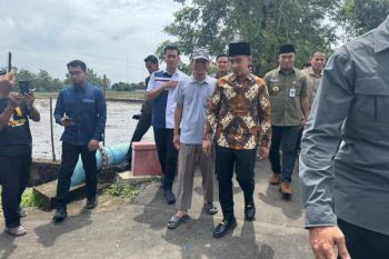 Wapres Gibran meninjau proyek pengaspalan jalan desa di Sragen