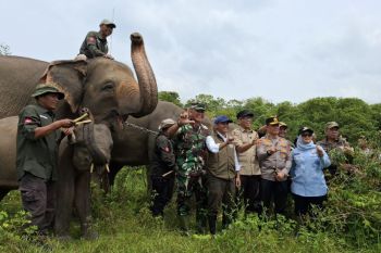 Way Kambas National Park pilot for innovative climate financing