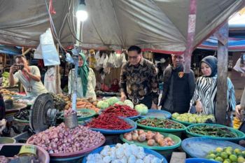 Bapanas: Harga pangan di Bulukumba Sulsel terkendali pascaLebaran