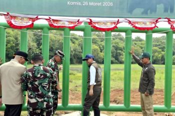 Menhut targetkan pembatas TNWK dapat selesai dalam empat bulan
